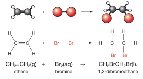 <ul><li><p>addition reaction</p></li><li><p>alkene + bromine → dibromoalk<strong>ane</strong></p></li></ul>