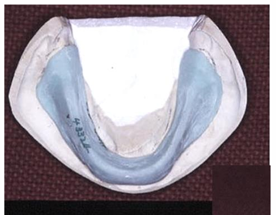 <p>the special tray follows the pencil outline </p>