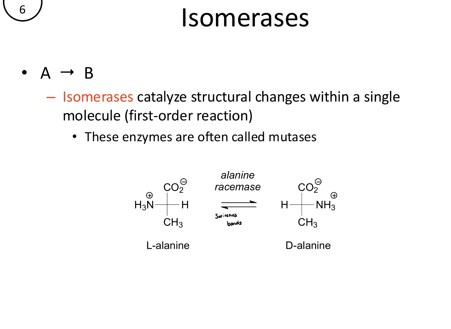 <p>Catalyze structural changes within a single molecule</p><ul><li><p>A→ B (first-order)</p></li></ul><p></p>