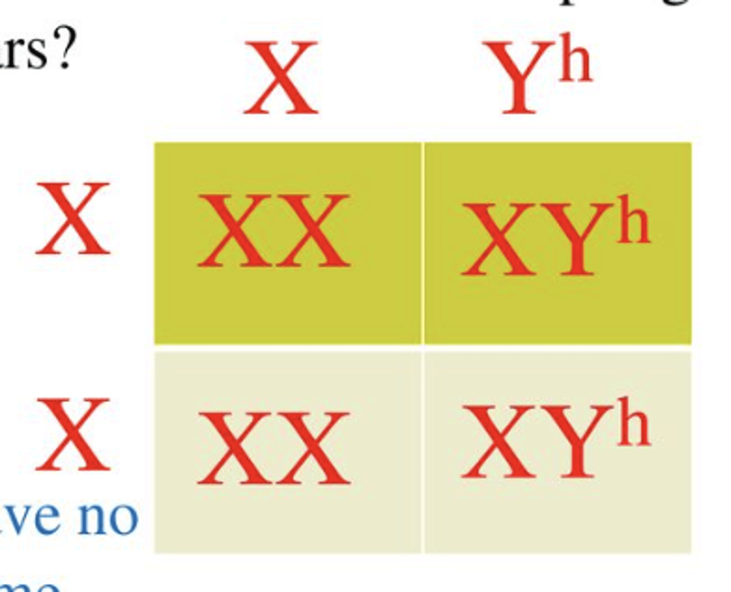 <p>gene located on the Y chromosome</p>