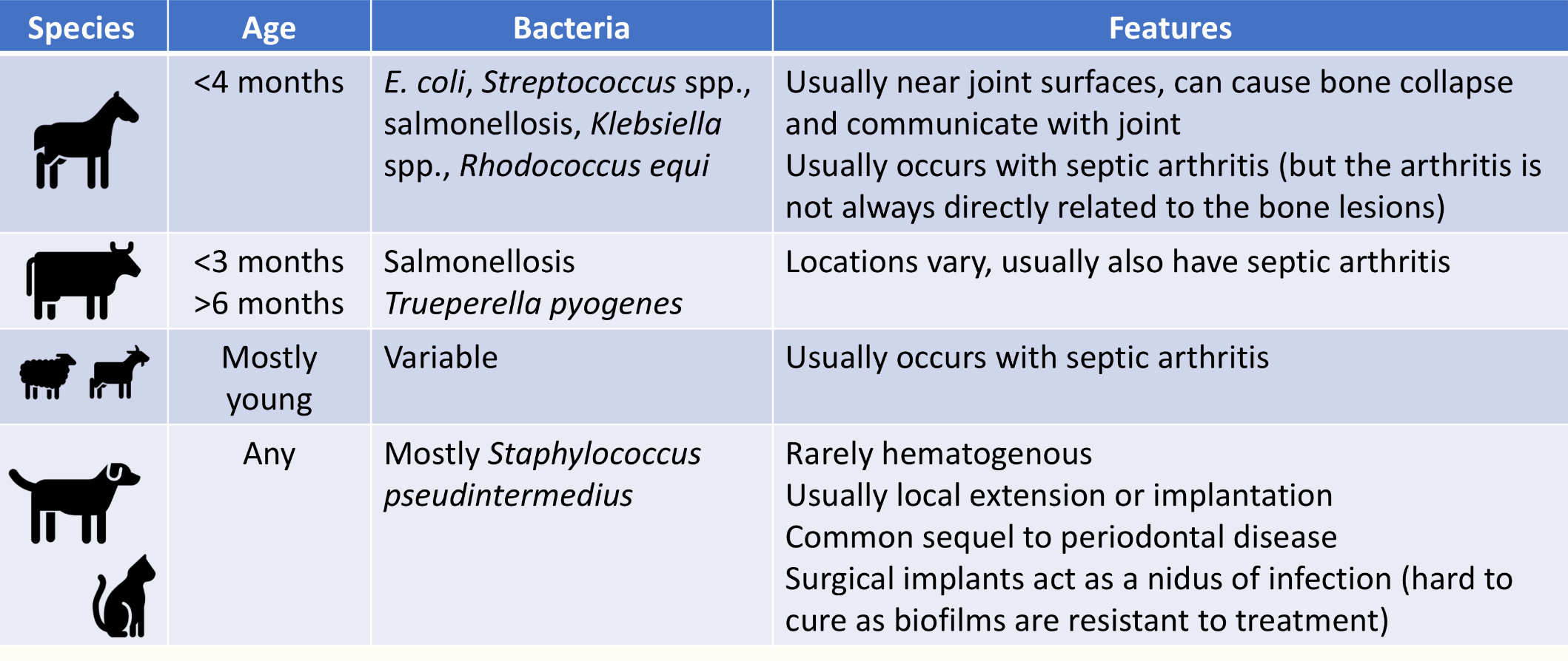 <ul><li><p>pasteurella multocida and bordetella bronchiseptica in pigs (atrophic rhinitis)</p></li><li><p>actinomyces bovis (lumpy jaw)</p></li></ul><p></p>
