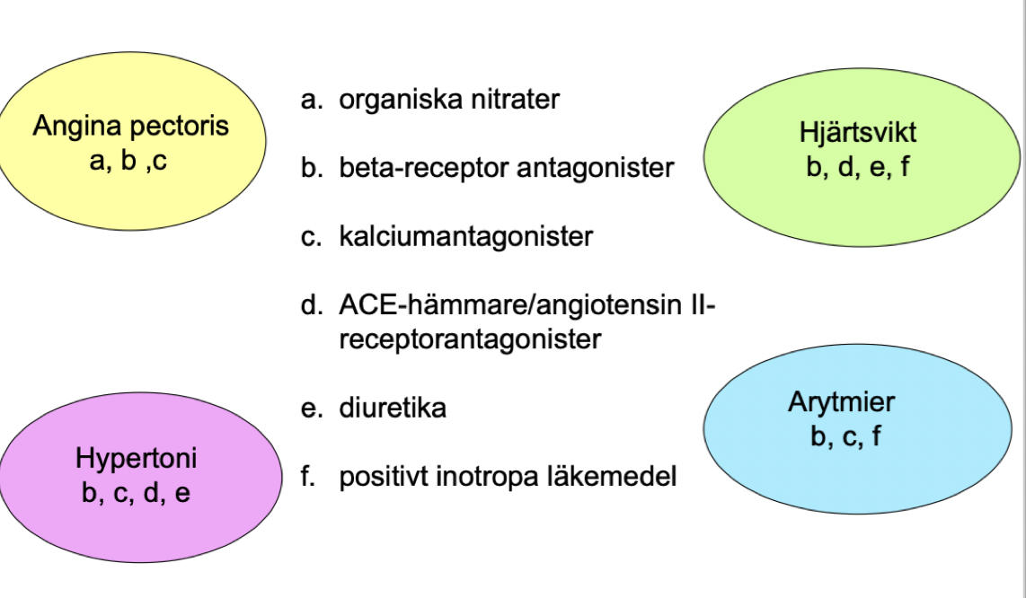 <p><strong>Angina pectoris</strong>: organiska nitrater, betablockad och kalciumantagonister.</p><p><strong>Hypertoni</strong>: betablockad, kalciumantagonist, ACE-hämmare och diuretika.</p><p><strong>Arytmier</strong>: betablockad, kalciumantagonister, positiv inotropa läkemedel.</p><p><strong>Hjärtsvikt</strong>: betablockad, RAAS-blockad, diuretika och positiva inotropa läkemedel.</p>