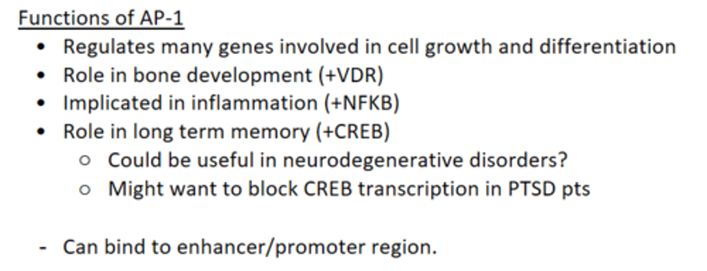 <p>- Regulates genes involved in cell growth and differentiation.</p><p>- Role in bone development.</p><p>- Role in inflammation (NFKB).</p><p>- Role in long term memory.</p>