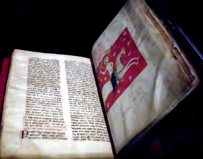 <ul><li><p>a manuscript in the form of a bound book (as opposed to a scroll)</p></li><li><p>a medieval manuscript/book made of pages bound between 2 boards. They’re protected by their cover and have a much greater chance of survival</p></li></ul><p></p>