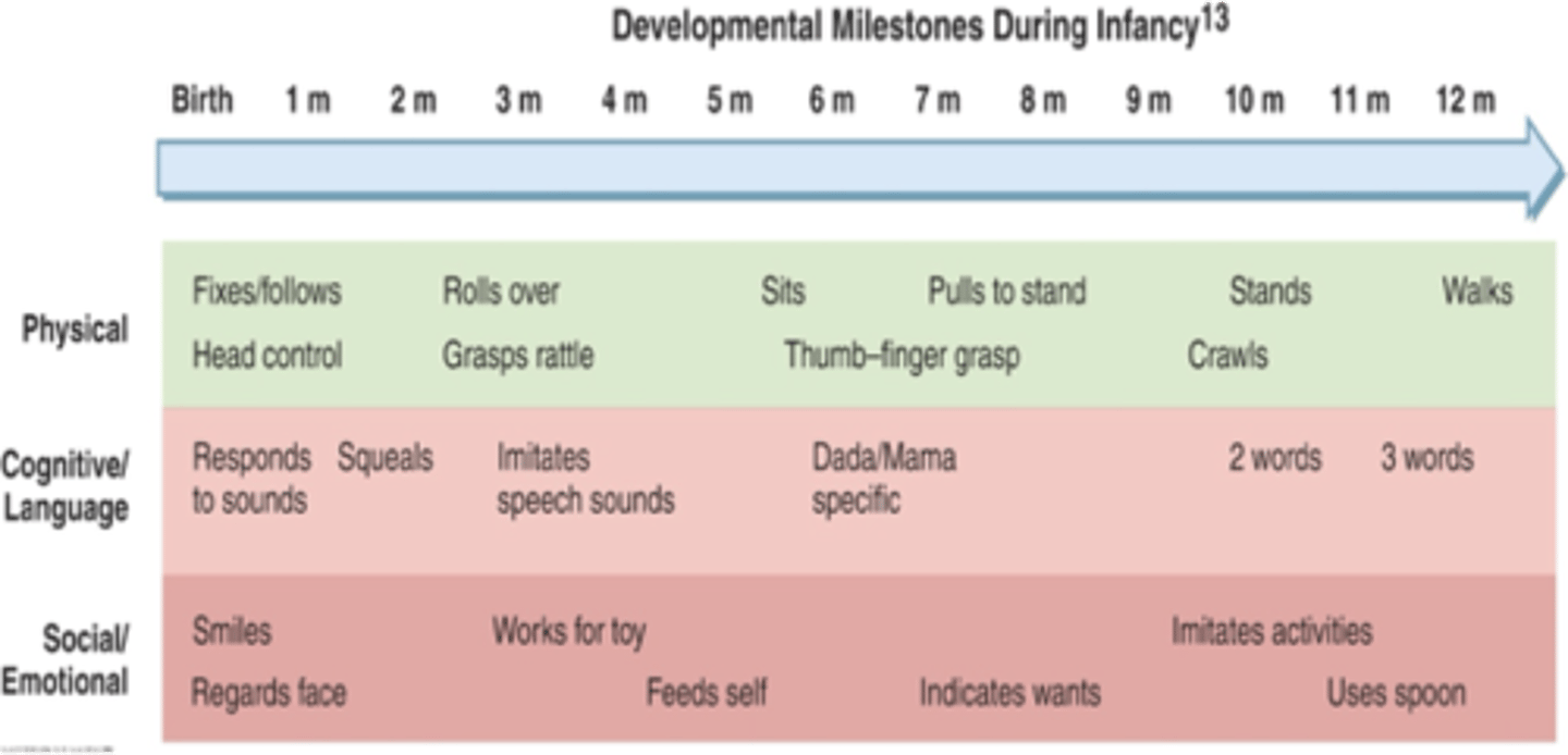 <p>birth to one month- smiles and regards faces</p><p>seven months- indicates wants</p><p>one year- imitates activities, uses spoon</p>