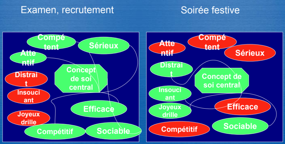 dimensions +/- pertinentes selon situation, toutes présentes, accessibles et utilisables par individu mais selon disposition +/- dure à activer-> permet de s'adapter à situation en activant dimensions pertinentes