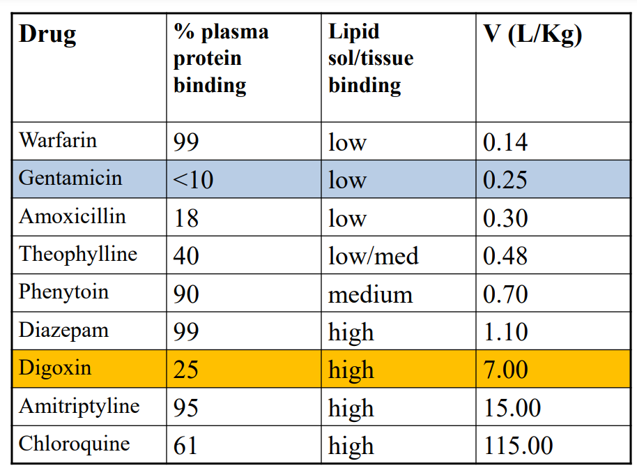 <p>Digoxin (7L/Kg) Large volume of distribution: • Relatively small molecule • With low binding to plasma proteins - mostly albumin, averages 20 to 30% • And high affinity for skeletal &amp; cardiac muscles, intestines and kidney.</p><p></p><p>Gentamicin (0.25L/kg) Small volume of distribution: • Smaller molecule • Does not bind to plasma proteins • But highly ionised; does not cross cell membranes easily</p>