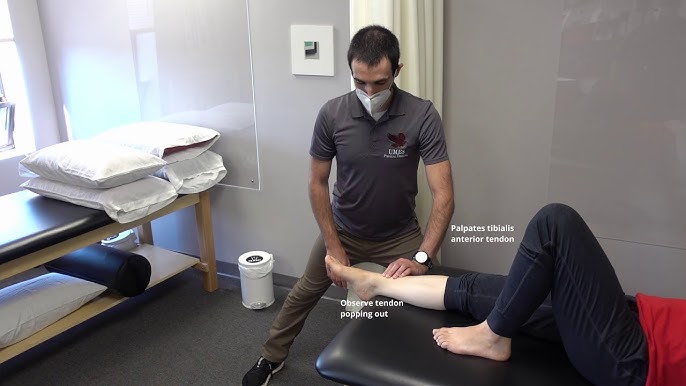 <p><span style="font-family: &quot;Aptos&quot;, sans-serif;">Demonstrate ankle dorsiflexion (+/- inversion), great toe extension and 2<sup>nd</sup>-5<sup>th</sup> to extension.</span></p><p class="MsoNormal"><span style="font-family: &quot;Aptos&quot;, sans-serif;">Support the lower leg and resist the forefoot for ankle/subtalar movement.</span></p><p class="MsoNormal"><span style="font-family: &quot;Aptos&quot;, sans-serif;">Support the foot and resist the distal phalanges for toe movements.</span></p><p class="MsoNormal"><span style="font-family: &quot;Aptos&quot;, sans-serif;">&nbsp;</span></p><p class="MsoNormal"><span style="font-family: &quot;Aptos&quot;, sans-serif;">Observe the tibialis anterior tendon over the anterior ankle.</span></p><p class="MsoNormal"><span style="font-family: &quot;Aptos&quot;, sans-serif;">Observe the extensor hallucis longus and digitorum longus tendons in the forefoot.</span></p><p class="MsoNormal"><span style="font-family: &quot;Aptos&quot;, sans-serif;">Peroneus tertius is too deep to observe.</span></p>