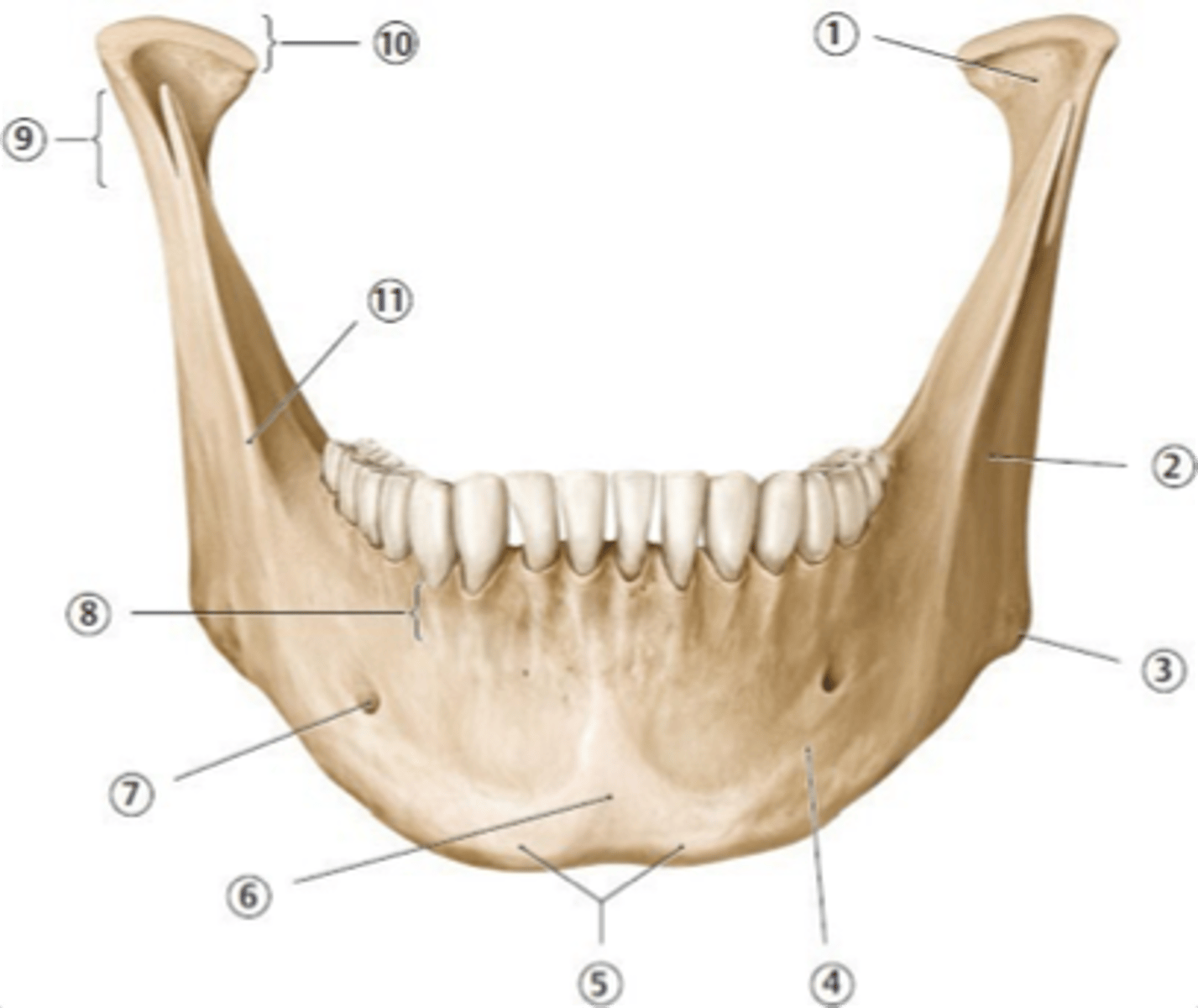 <p>What is #3?</p>