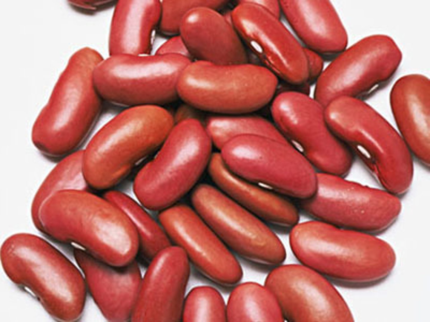 <p>beans</p>