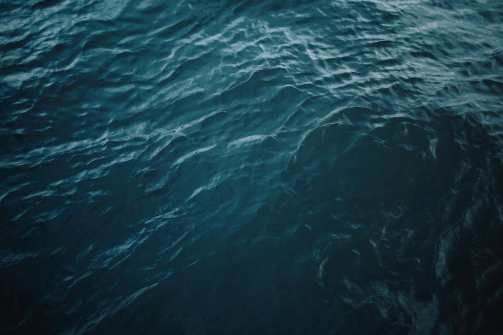 <p><span style="background-color: transparent;">What is salinity:</span></p>