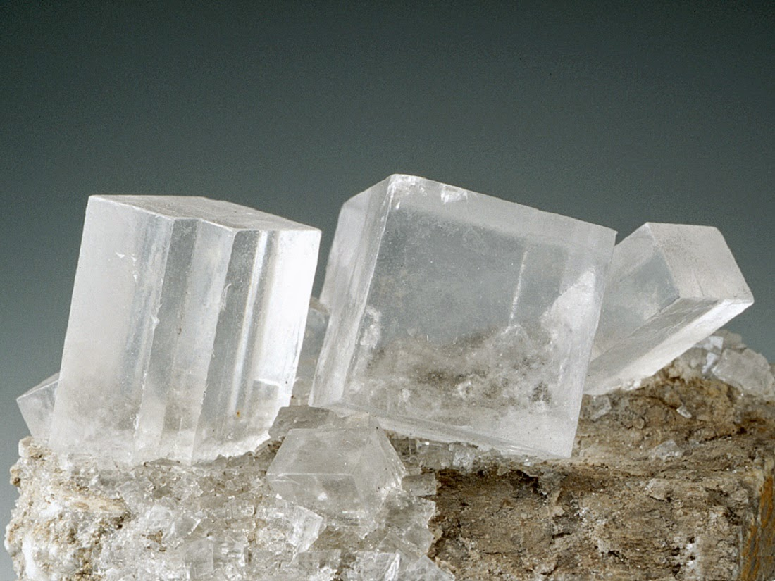 <p>Appartiene alla classe degli Alogenuri</p><p><strong>NaCl</strong></p><ul><li><p>Alogenuro più abbondante sulla litosfera</p></li><li><p>Sistema cubico</p></li><li><p>Fa parte degli alogenuri alcanini, i quali possono dar luogo a due tipi strutturali: quello Nacl e quello CsCl, con coordinazione 6 e 8 rispettivamente</p></li></ul><p></p>