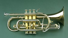 community bands, gave jazz instrumentation and musical form