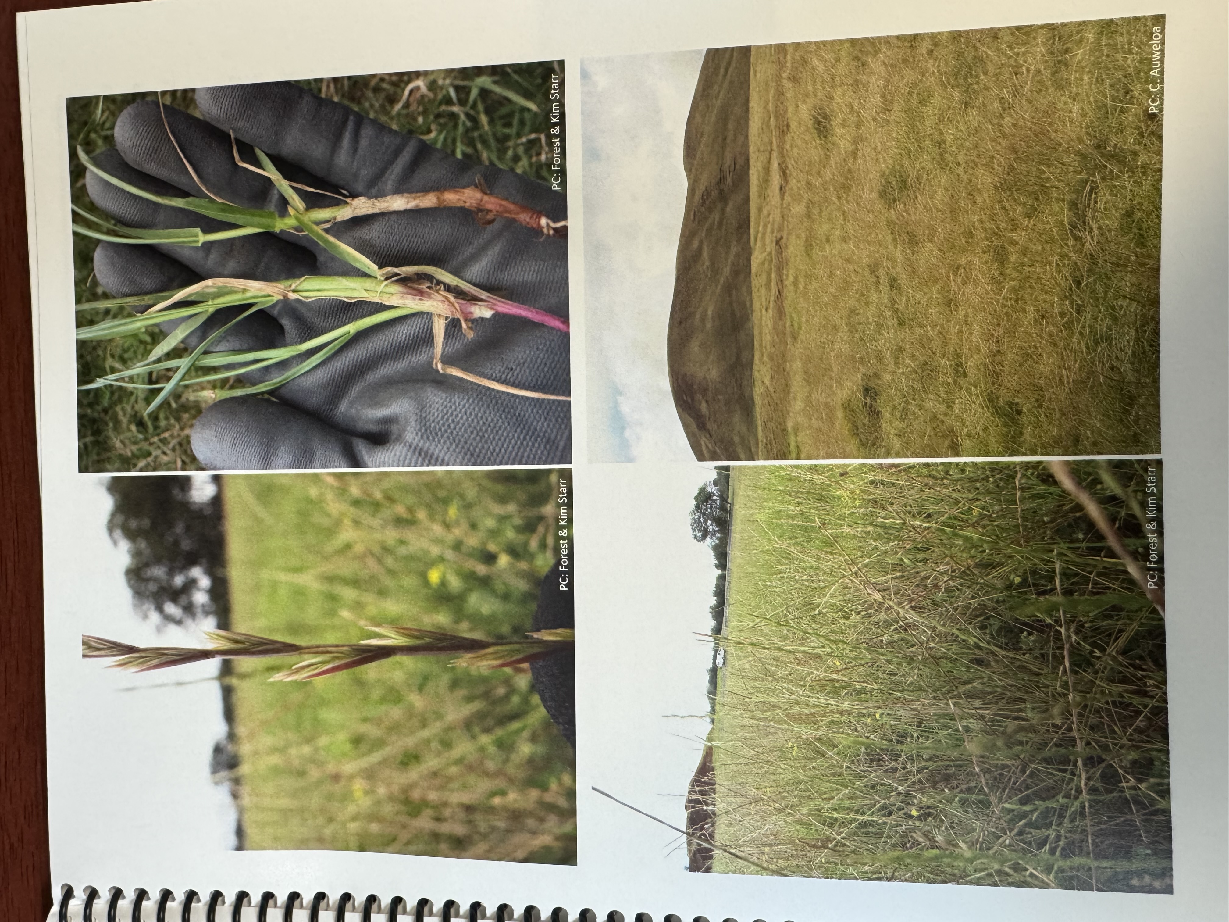 <img src="blob:null/7485b28e-94d4-4424-b696-4aea14721d0b"><p></p>