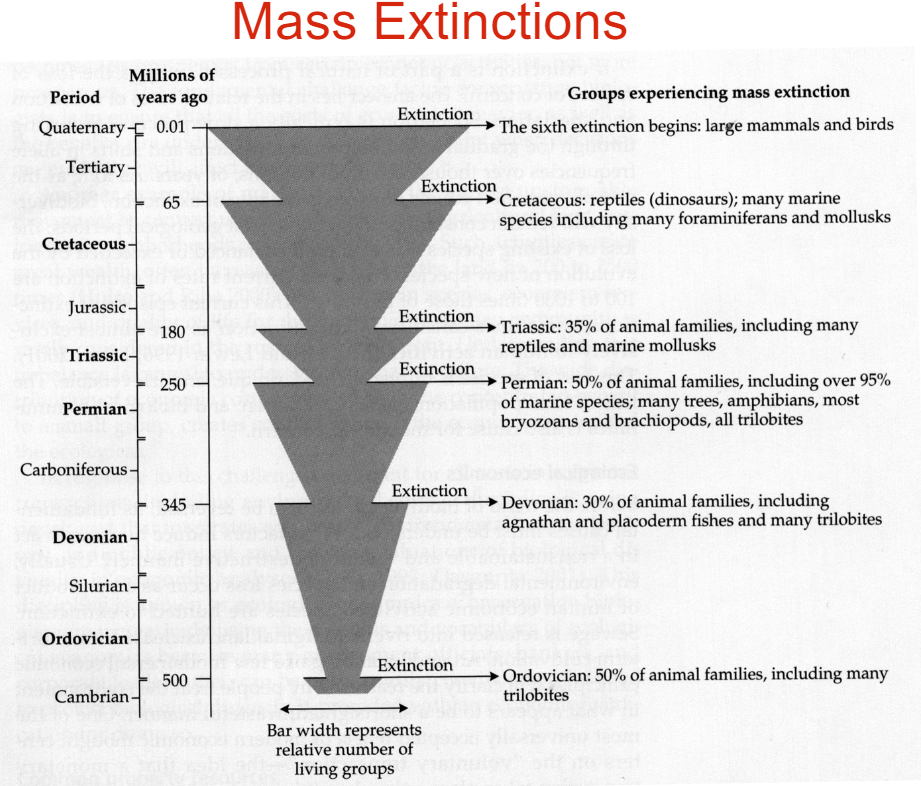 <p>What does the shaping represent here? Timeline?</p>