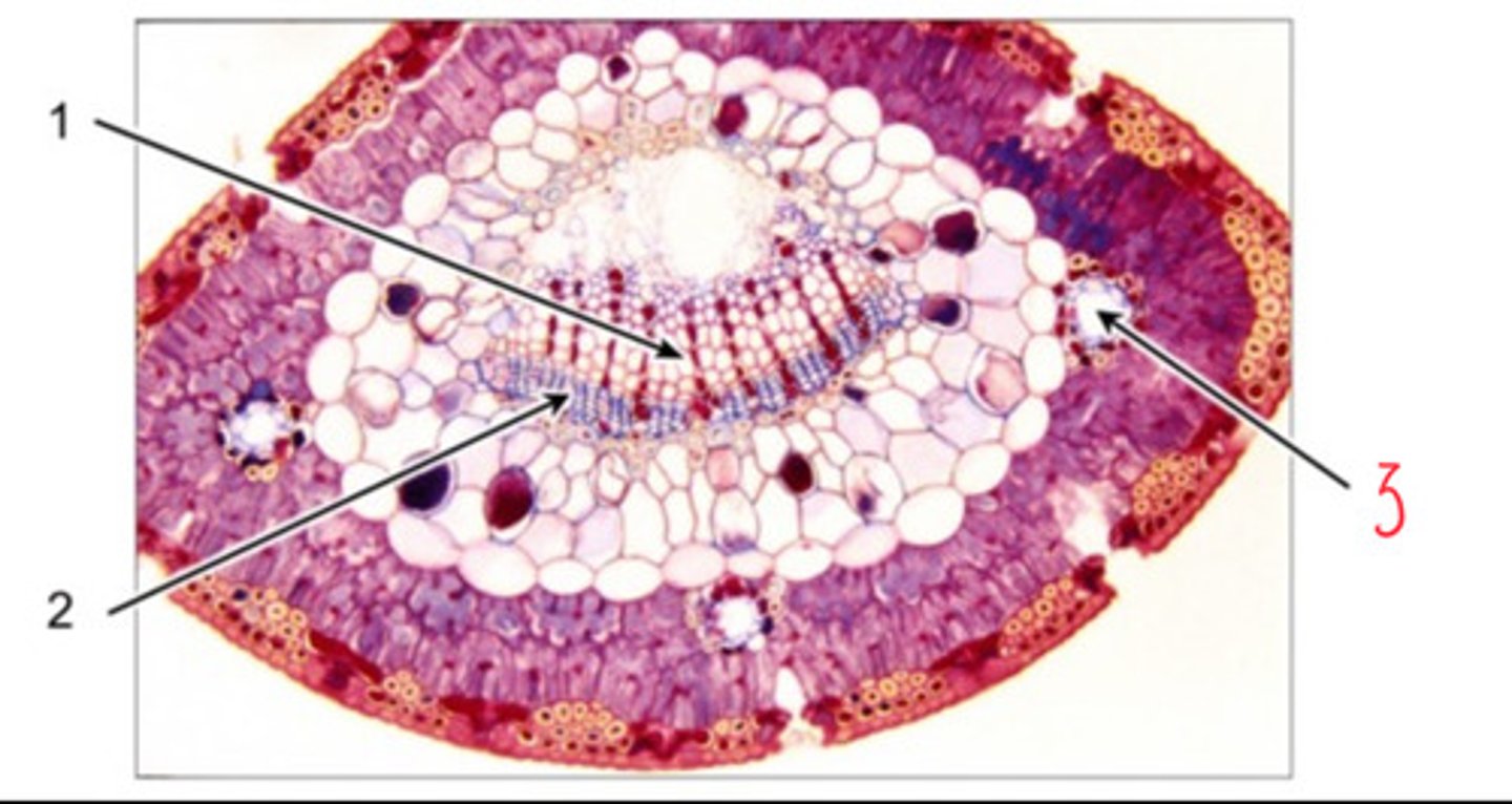<p>1</p>