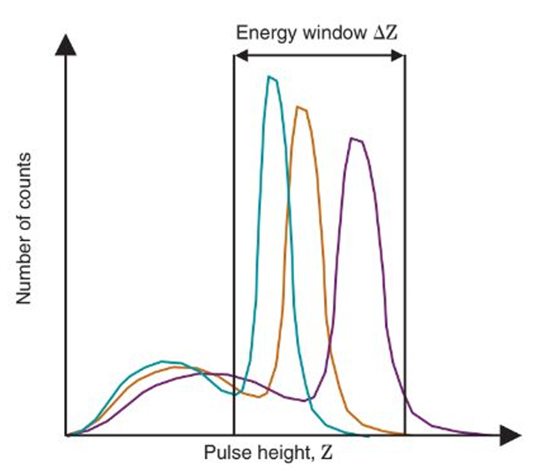 <p>describe this approach</p>