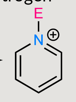 <p>Substitution on nitrogen</p>