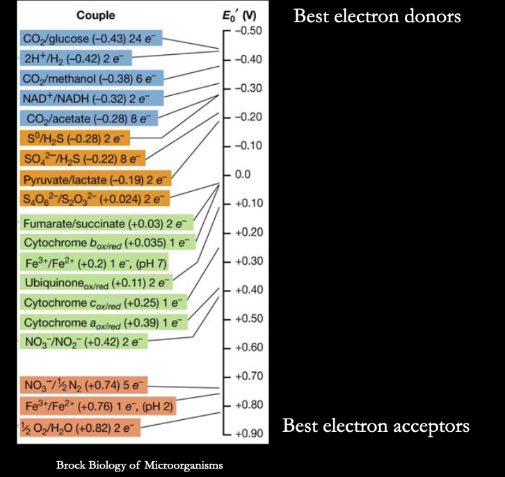 <ul><li><p><strong>e- falls from top of tower to the bottom</strong> (like potential energy! you get the most energy from falling the farthest)</p></li><li><p><strong>each line is a redox couple</strong> (left is oxidized, right is reduced) </p><ul><li><p>tells you what each molecule will turn into if you give it more e-</p></li></ul></li><li><p><strong>best e- donors are at the top, best e- acceptors are at bottom</strong></p></li></ul><p></p>