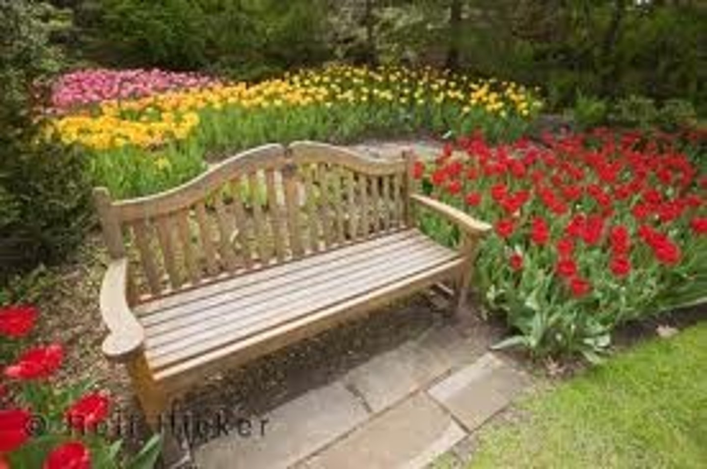 <p>garden</p>