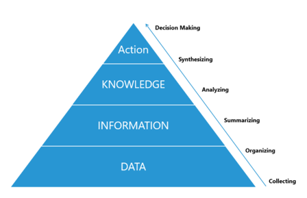 <p>Data, Information, Business Intelligence, Knowledge </p>