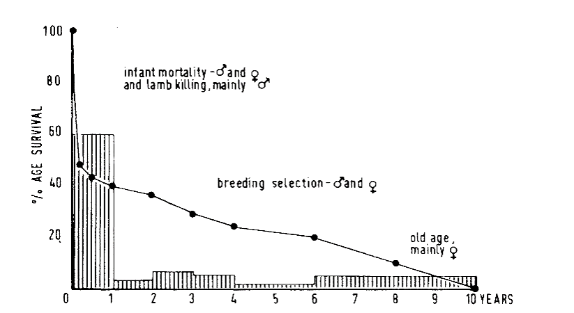 <p><span>-If you just want milk, there’s no reason for males to reach adult size, really steep population drop</span></p>