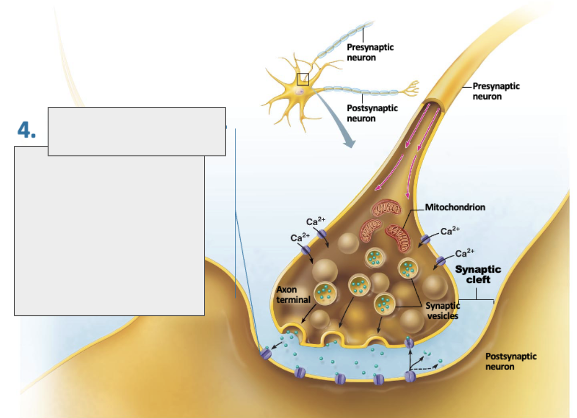 <p>what is happening in this image?</p>