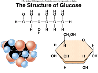 <p>Represented as long chains or ring structures, this macromolecule is a major fuel and building material</p>