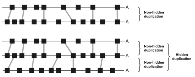 <p class=""><strong>highly degraded duplicated blocks</strong> within a genome. They are <strong>too eroded</strong> to be clearly recognized by directly comparing two duplicated segments. However, they <strong>can be detected</strong> when you introduce a <strong>third similar region</strong> from <strong>the same genome</strong>.</p>