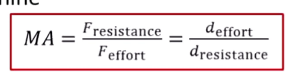 <p>Factor by which force can be reduced when using a machine</p><p>MA = F <sub>resist</sub>/F <sub>effort</sub></p><p>F = force</p><p>MA = d <sub>effort</sub>/d <sub>resist</sub> (only for ideal machines with no friction or deformation)</p><p>d = displacement</p>