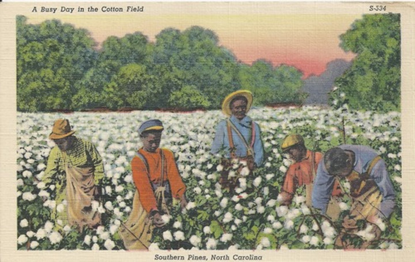 <p>Southern plantations</p>