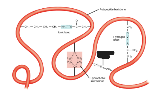 <p>What is being shown in the image?</p>