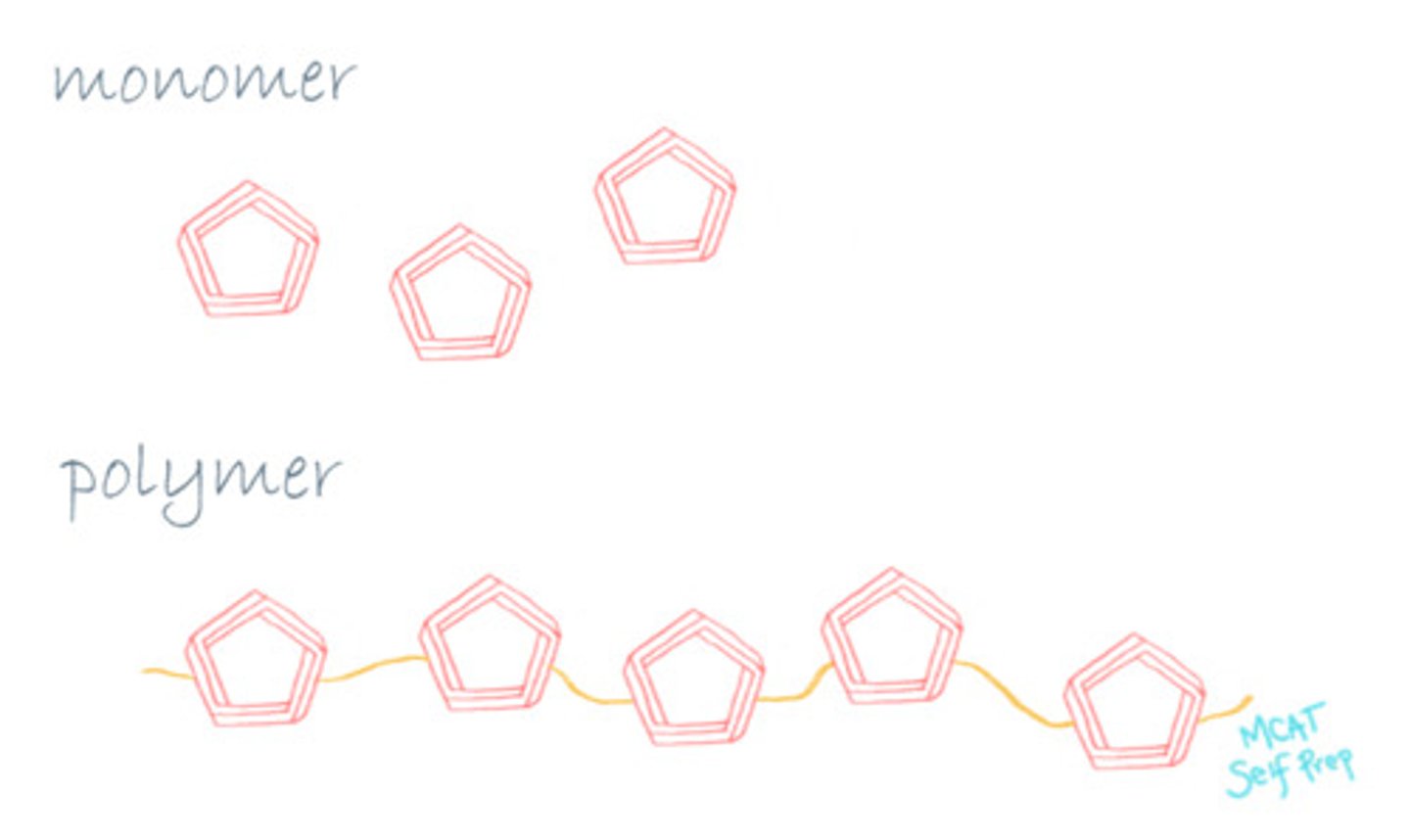 <p>Polymers are made up of individual sub-units called monomers.</p>