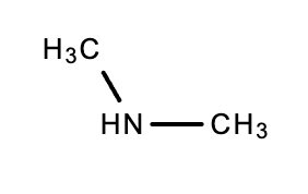 <ol><li><p>name branching groups add prefixes if needed</p></li><li><p>alphabetize!</p></li><li><p>end with -amine</p><p>(example would be dimethylamine)</p></li></ol>