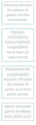<p>Put in correct order the events resulting in the stimulation of the gastric glands.</p><p><span style="font-size: inherit; font-family: inherit"><br></span></p>