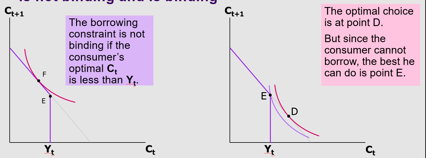 <p>Borrowing constraint (binding vs non-binding)</p>