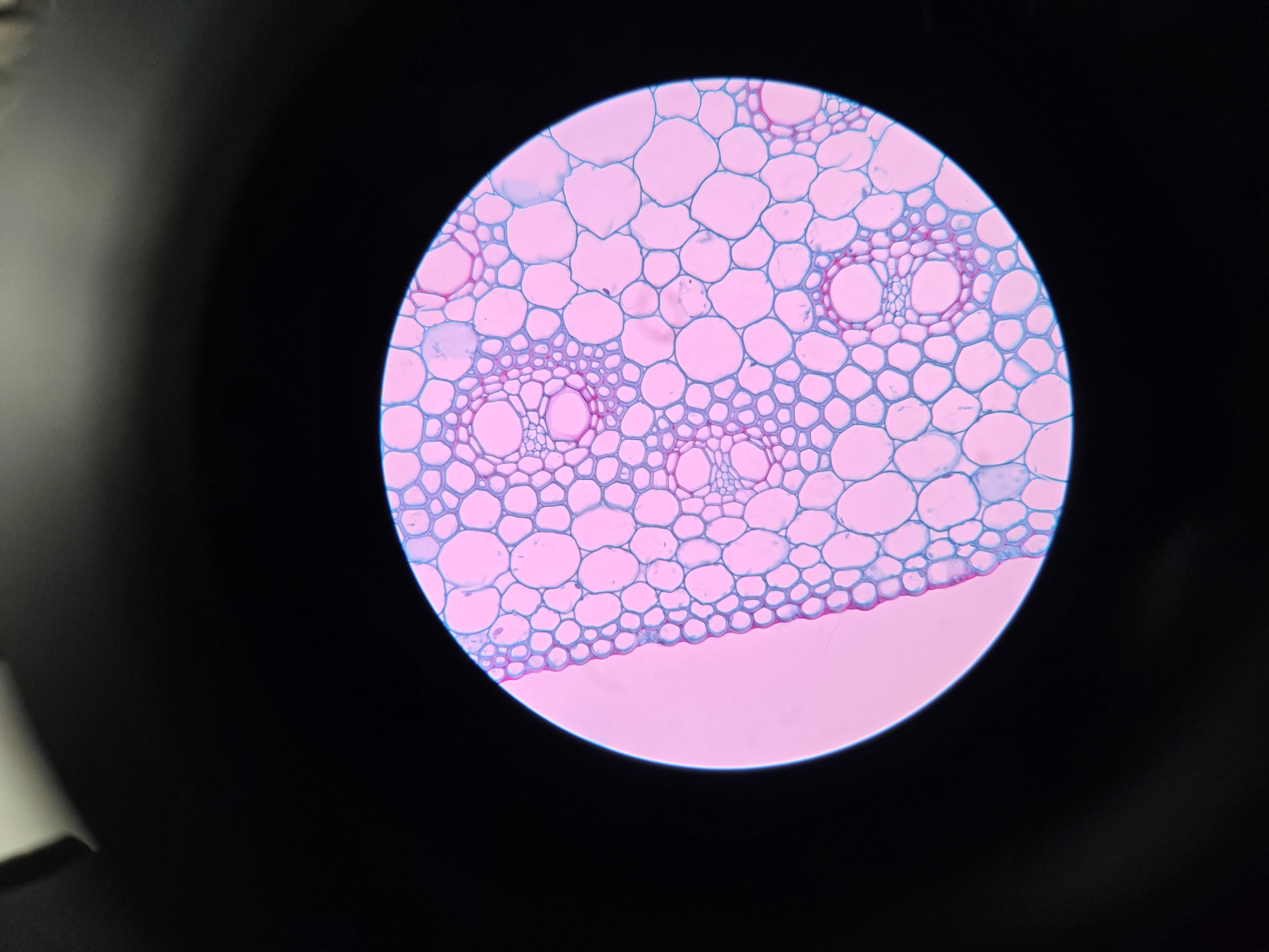 <p>What is being shown?</p>