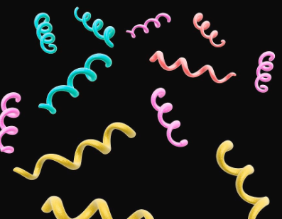 <p>spiral shaped bacteria</p>