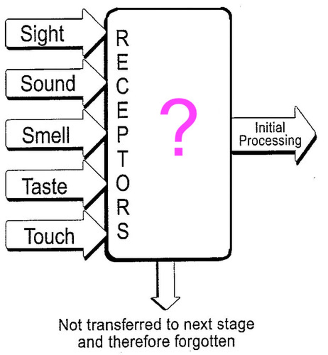 <p>the immediate, very brief recording of sensory information in the memory system</p>