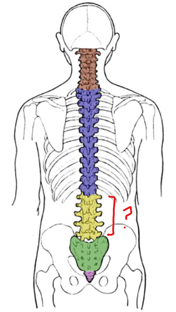 <p>lower 5</p>