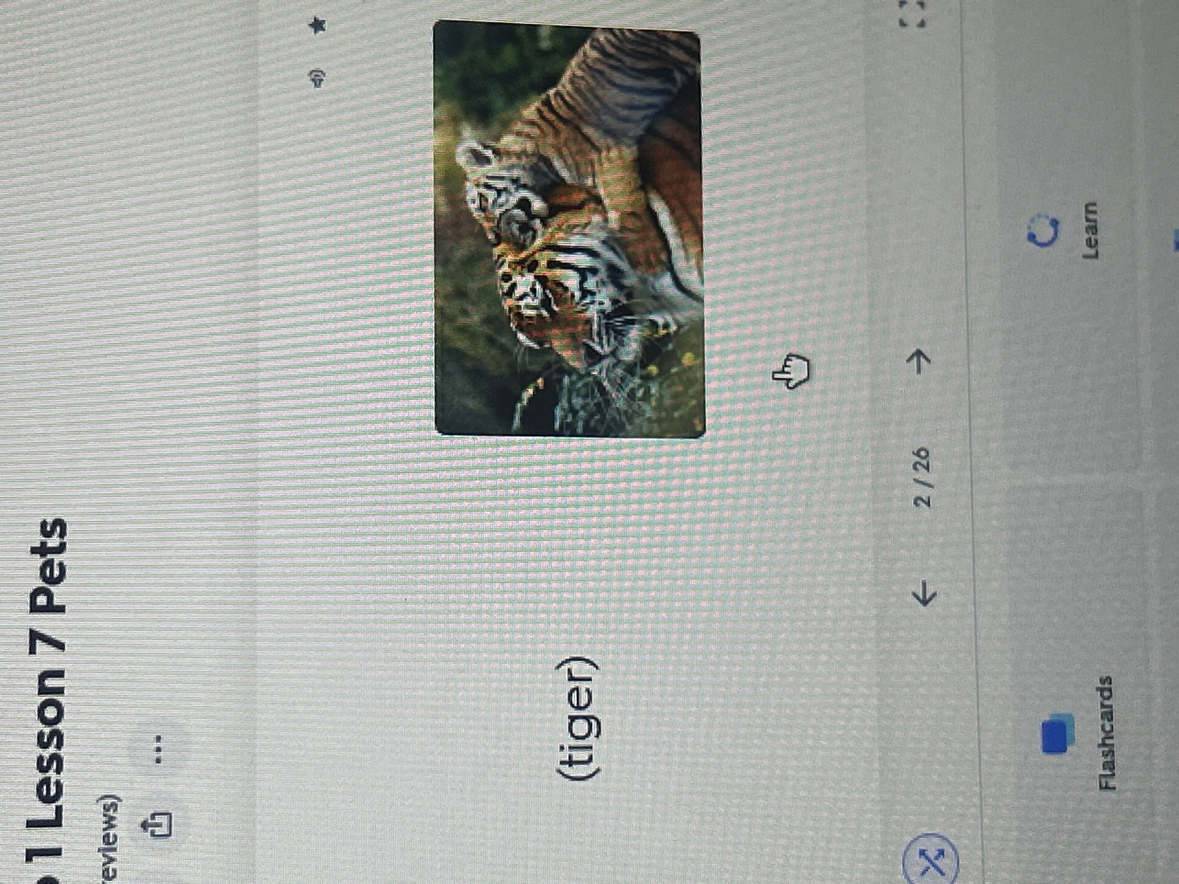 knowt flashcard image