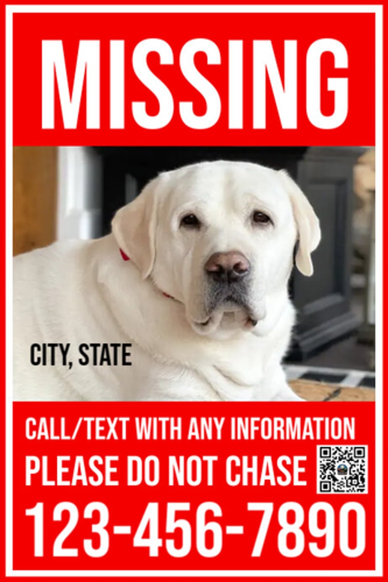 <p>Chapter: Certainty of Terms (Offeree Must Have Knowledge of the Offer)</p><p>Facts: A unilateral offer was made by the defendant to anyone who could find a dog. the claimant found and returned it to the defendant without being aware of the offer made by the claimant.</p><p>Principle: Offeree cannot accept an offer without knowledge of it</p>