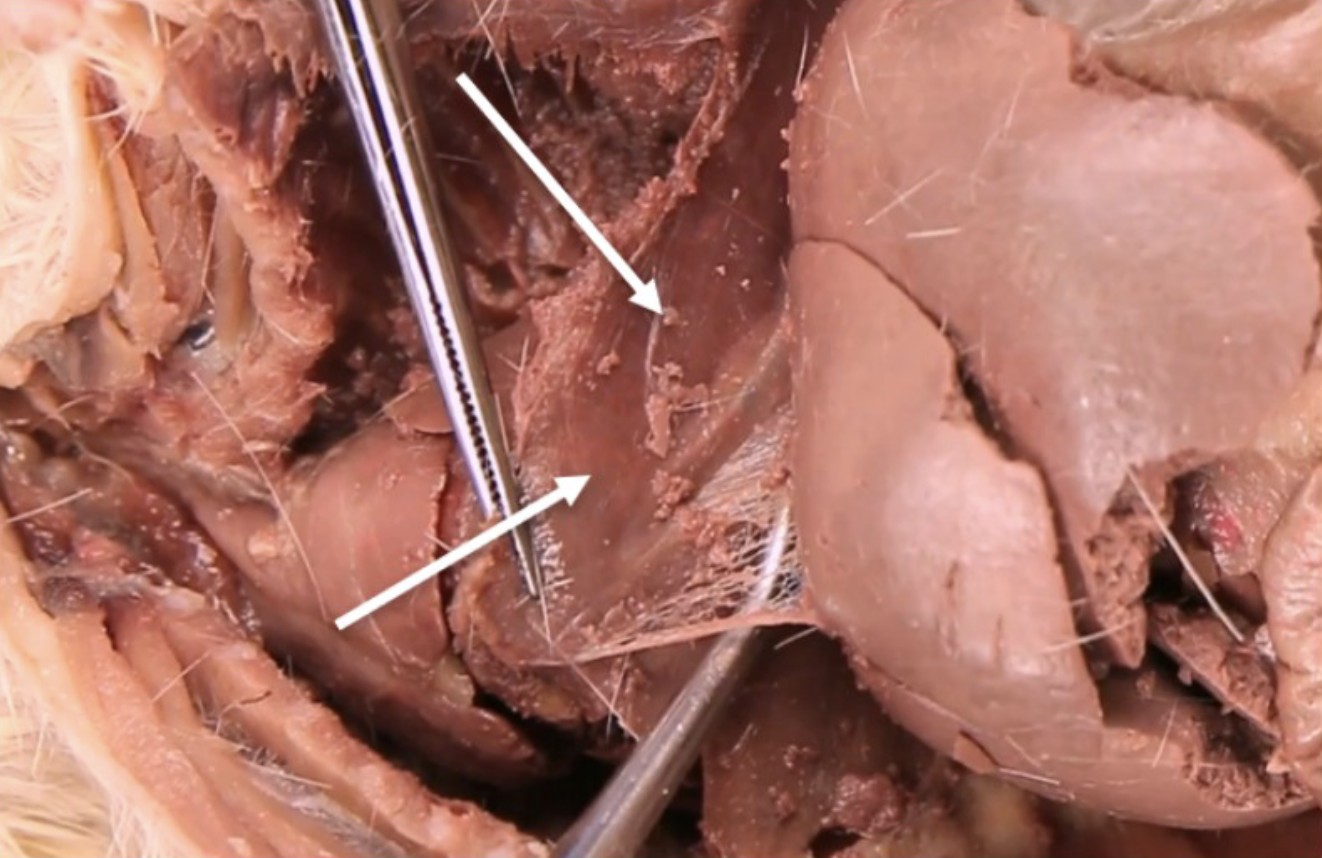 <p>What is this?</p>