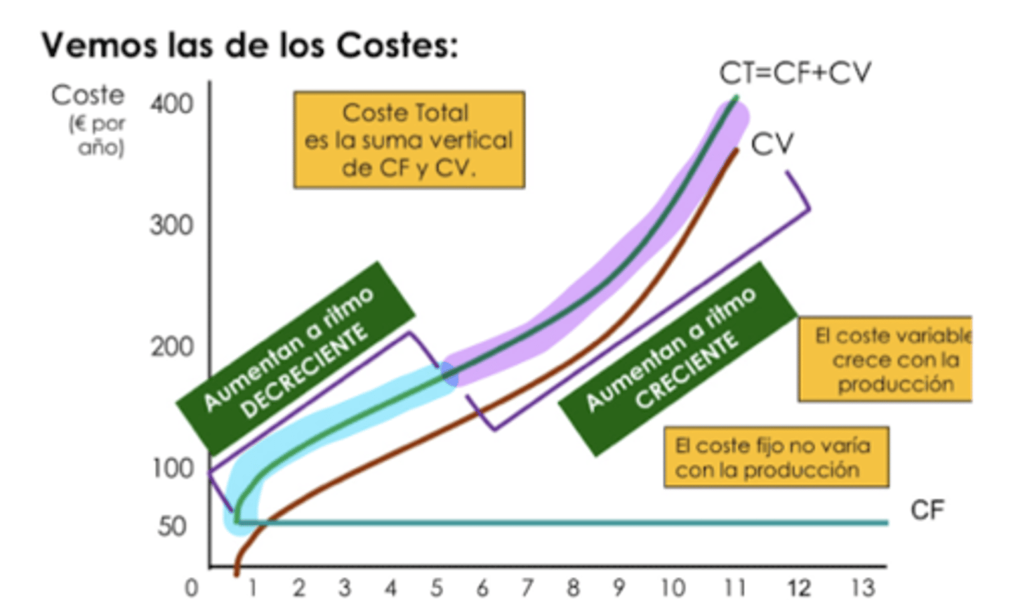 <p>cuando se sobrepasa el punto de inflexión. </p><p>a partir de ese punto, hay rendimiento marginales decrecientes</p>