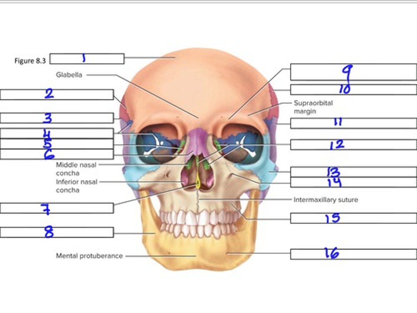 <p>14</p>