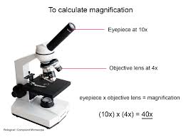 <p>Comparison of the size of an image to its actual size; for example, 100x magnification means the image is 100 times larger.</p>