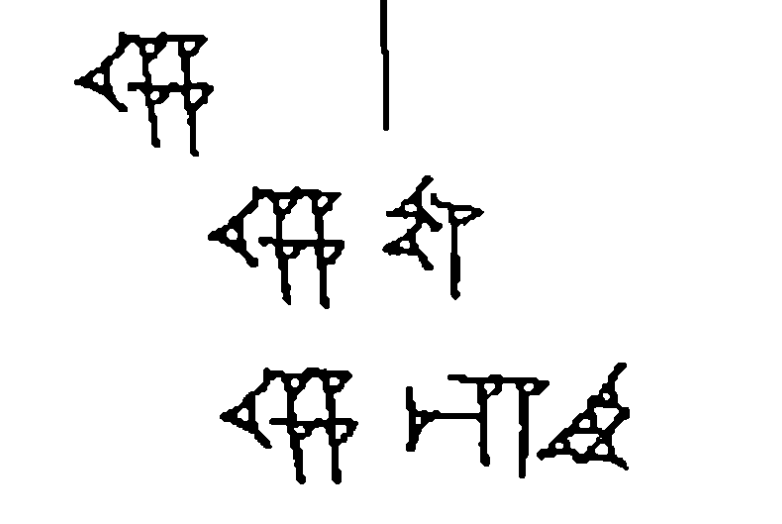 term image