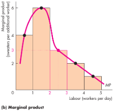 Marginal Product Curve