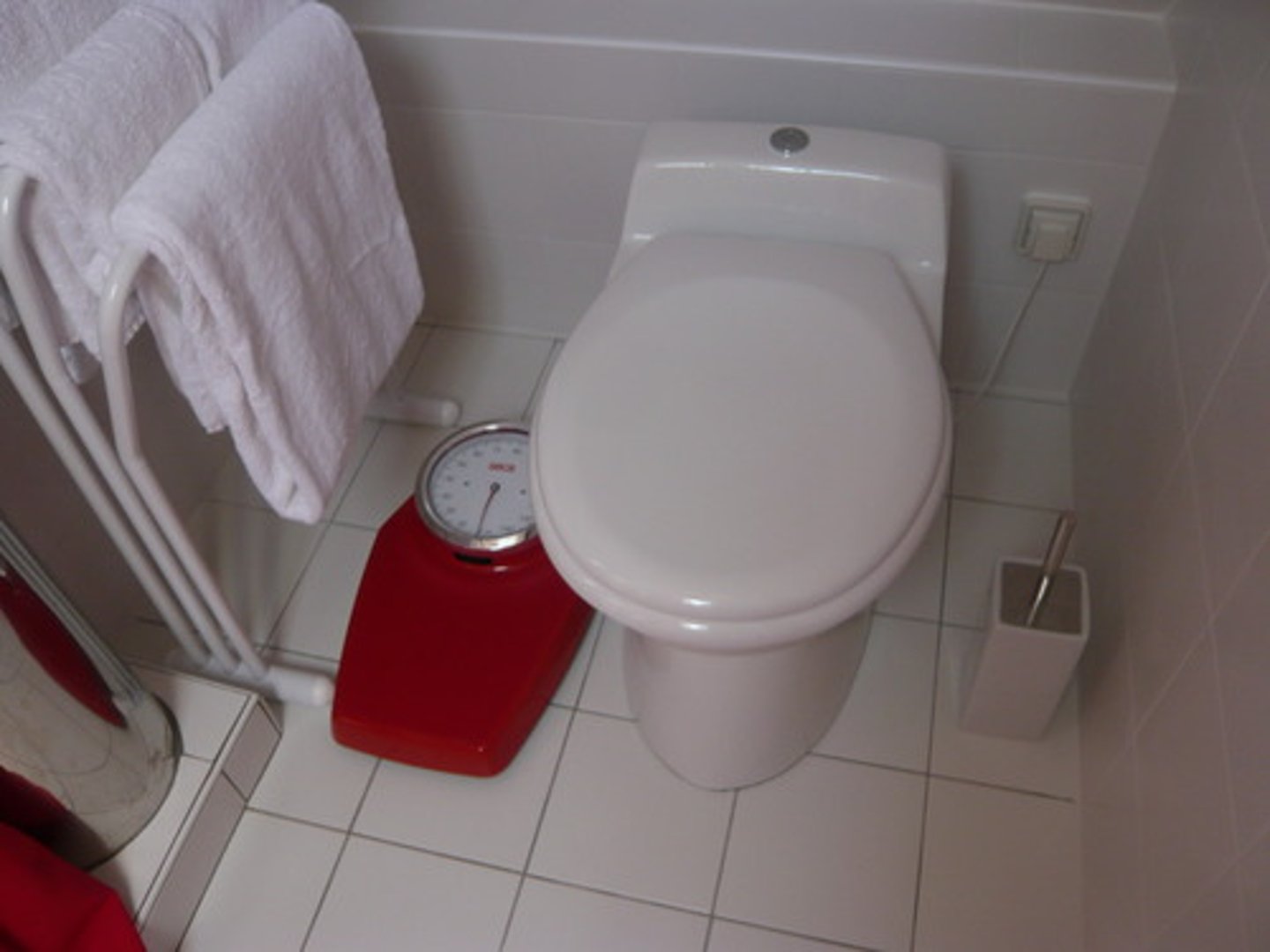 <p>the toilet</p>