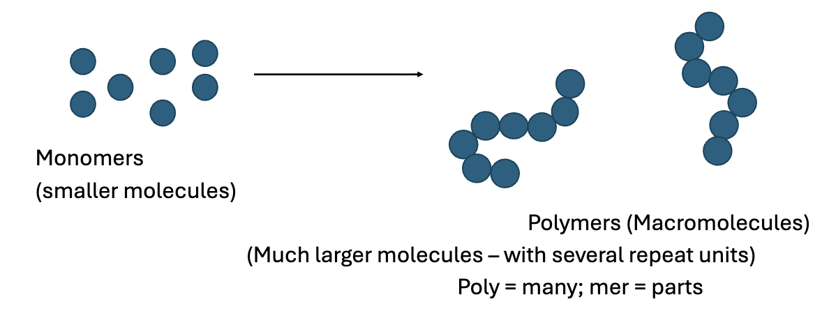 <p>Very large molecules that form when several monomer units join together to form long chains.</p>